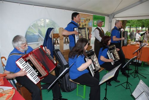 Del harmonikarjev iz sekcije KD Mihaelov sejem